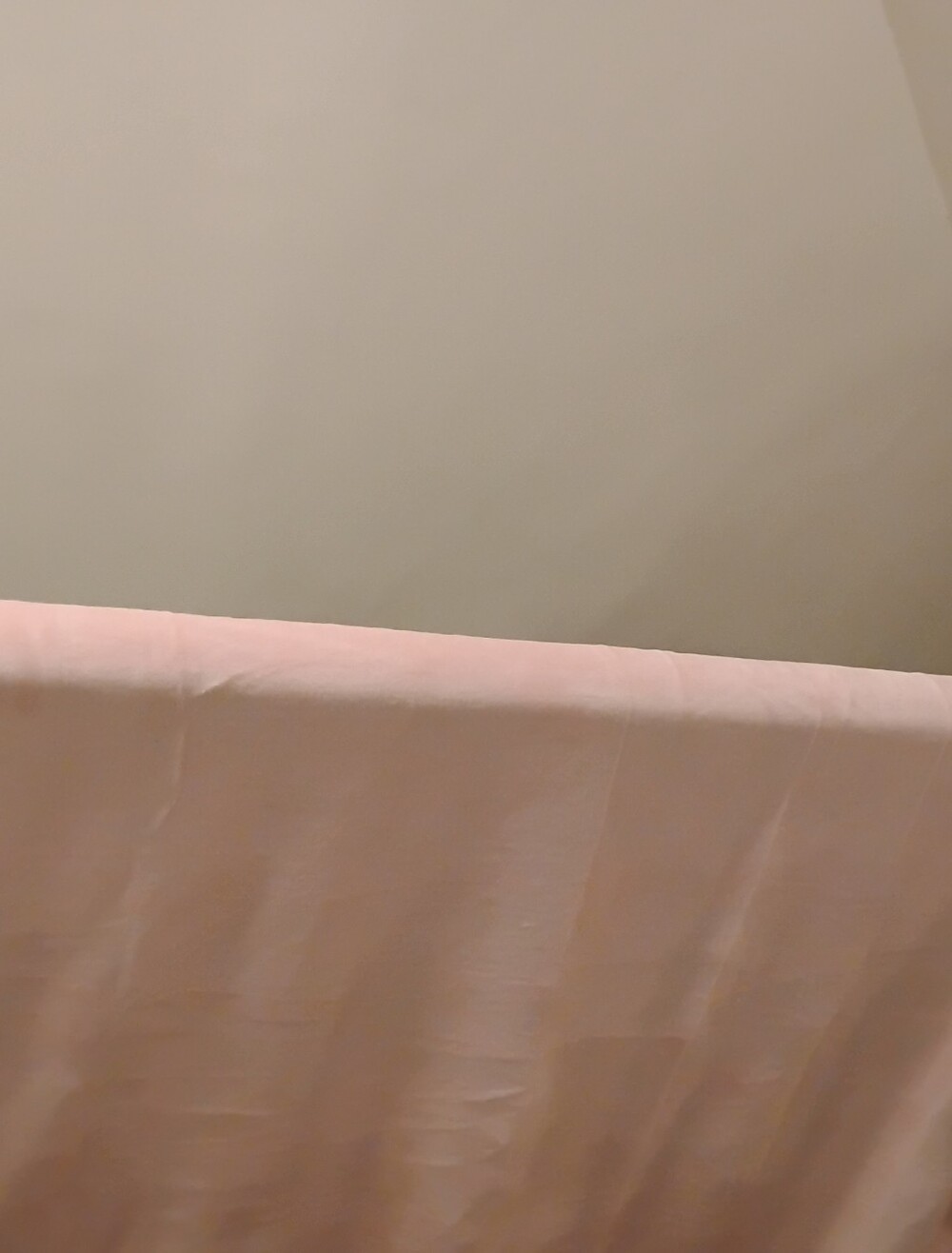 Throw Blanket Pink Plush